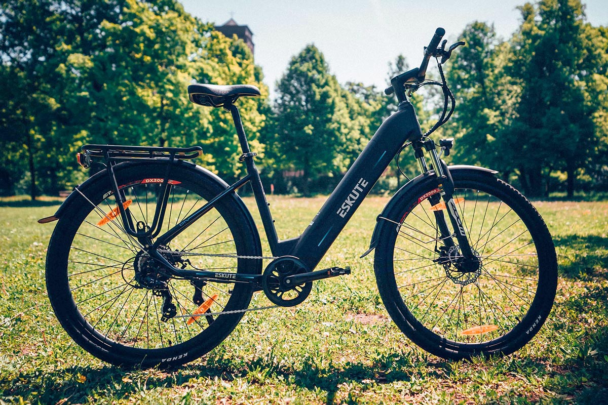 Fahrradkorb Hollandrad Hinten – Die 15 besten Produkte im