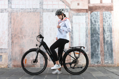 Polluno Pro City E-Bike Mittelmotor
