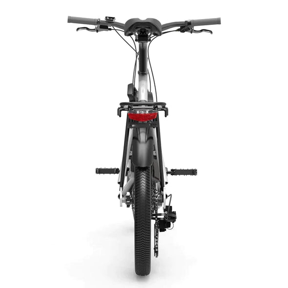 Schwarz 20 Zoll E-Bike Trekking 250W 290Wh Akku 60km Reichweite