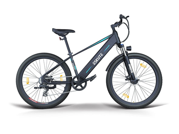 Voyager E-Mountainbike Gebrauchtes E-Bike 450Wh 80km Reichweite